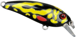 0001_Spro_Chibi_Shad_40_SL_[Aussie_Poison_Frog].jpg